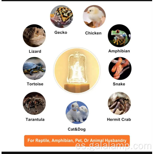 Opciones de 230V con bombillas Halógeno G9 de cuarzo de vidrio de 230V